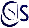 Es Solution logo